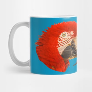 Macaw Mug